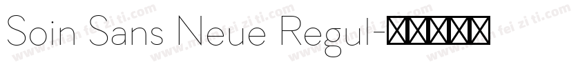 Soin Sans Neue Regul字体转换